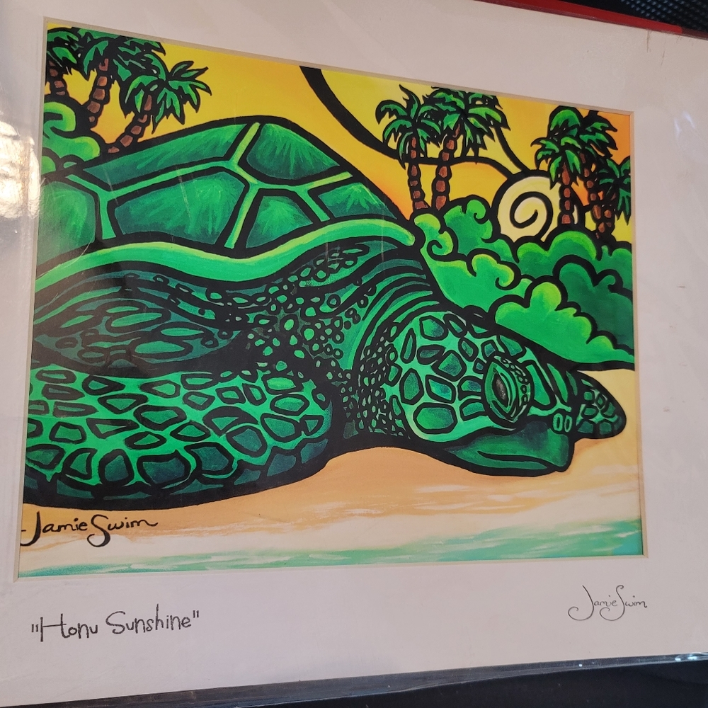 New turtle artwork